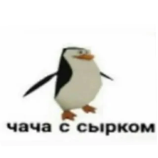Sticker from тррр хаха тррр чача @Chacha_s_sirkom
