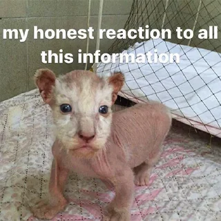 😳 emoji тиць-пердиць і чорті шо Telegram sticker 15 of 79