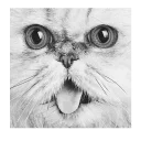 🐱 emoji @TVstickers Emotions Telegram sticker 6 of 81