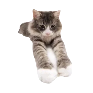 🤗 emoji 🏕️ Палатка – @DEPALATKA Telegram sticker 7 of 20