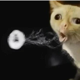 🥸 emoji коты Telegram sticker 23 of 56