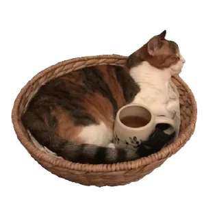 🐾 emoji 🍱 Telegram sticker 15 of 33