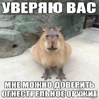 🌟 emoji Капибара Telegram sticker 7 of 32