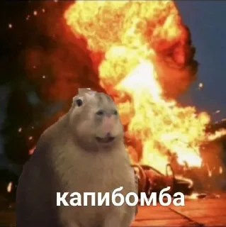 🌟 emoji Капибара Telegram sticker 5 of 32