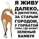😜 emoji Золотая антилопа @eeZee_stickers Telegram sticker 22 of 72