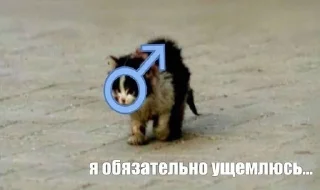 🌟 emoji Стикоры Масяни Telegram sticker 21 of 49