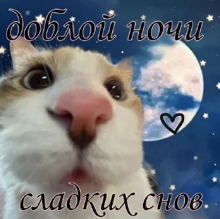 🌟 emoji Гир!! @k_228XD Telegram sticker 12 of 60
