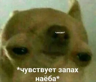 😤 emoji хуесосы Telegram sticker 18 of 66