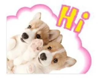 ✋ emoji Dog_ToP🐶 Telegram sticker 8 of 33