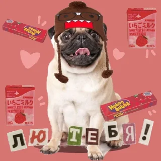 🥰 emoji Dog_ToP🐶 Telegram sticker 13 of 33