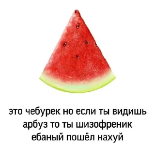 😵‍💫 emoji выдра Telegram sticker 11 of 30