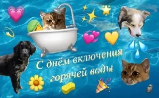 💦 emoji выдра Telegram sticker 19 of 30