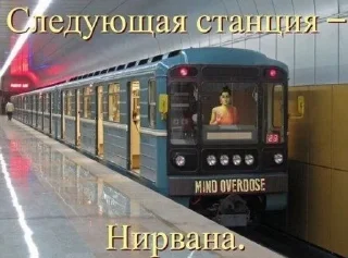 🌟 emoji Писяпопа Telegram sticker 18 of 88