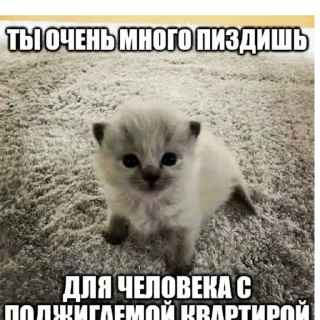 Sticker from няняня