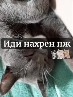 Sticker from Круто