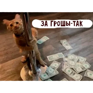 🌟 emoji няшкі Telegram sticker 7 of 30