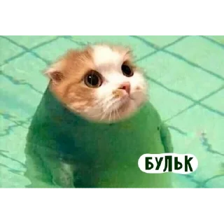 🌟 emoji няшкі Telegram sticker 21 of 30