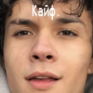 😋 emoji Тео-жизнь Telegram sticker 15 of 81