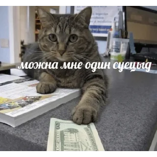 💵 emoji @casualsongsss музыка🖤 Telegram sticker 11 of 119