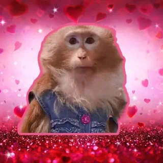 ⭐️ emoji ХАПИХОХИ N1 Telegram sticker 21 of 89