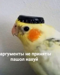 😎 emoji пикчи от СТАСА👍🏼 Telegram sticker 18 of 113