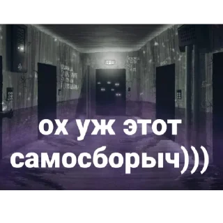 Sticker from Смешные картинки смеяться