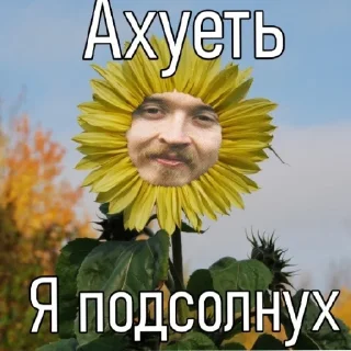 🌻 emoji Смешные картинки смеяться Telegram sticker 7 of 17