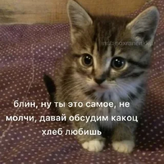 🥺 emoji штучки от @kitty0y Telegram sticker 15 of 29