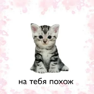 💋 emoji штучки от @kitty0y Telegram sticker 17 of 29