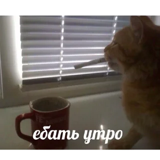 💁 emoji Моня думает это смешно Telegram sticker 21 of 88