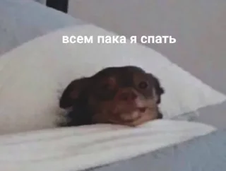 😴 emoji смешно | @xopowuj Telegram sticker 23 of 39
