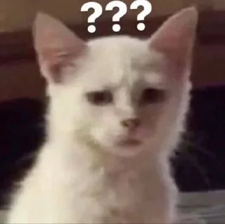 😐 emoji Понятно Telegram sticker 15 of 91