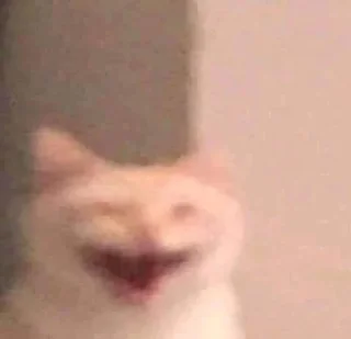 😝 emoji Понятно Telegram sticker 23 of 91