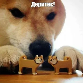 Sticker from Anus Digger