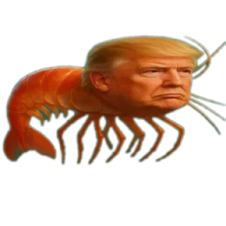 🖼 emoji s5ufzntigl4wsgq4ihsk47qyod58wyod58wyod582yodyoerdg Telegram sticker 18 of 95