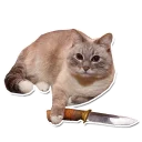 😡 emoji Caters Gonna Cate Telegram sticker 11 of 120