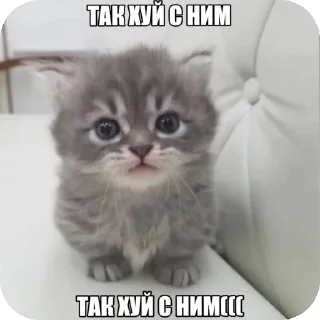 🙁 emoji Тупа я Telegram sticker 7 of 78