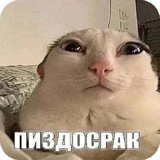 🖼 emoji Омагад 😨😨😨 Telegram sticker 16 of 120