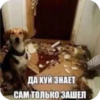 Sticker from Эщкере