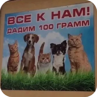👍 emoji Эщкере Telegram sticker 7 of 120