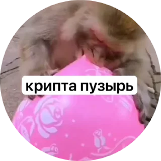 🎈 emoji Приватний заробіток ➥ @Belfort_daily Telegram sticker 8 of 30