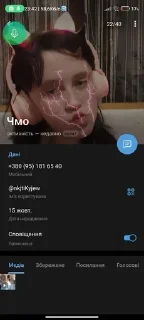 🌟 emoji Хз чо писать Telegram sticker 14 of 17
