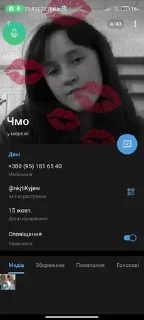 🌟 emoji Хз чо писать Telegram sticker 17 of 17