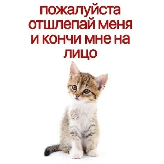 🌟 emoji я тру няша @kpdfgoui Telegram sticker 5 of 23