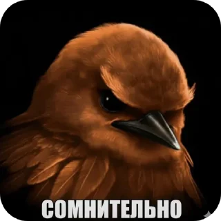 👍 emoji Не-уверенн Telegram sticker 11 of 44