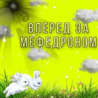 🍡 emoji ну уроды Telegram sticker 20 of 59