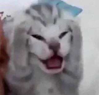 😞 emoji Всьо так па дамашнєму Telegram sticker 20 of 64