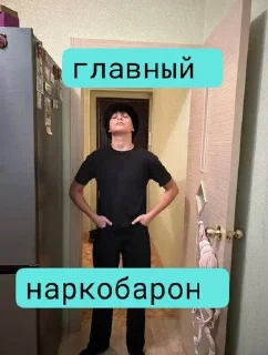 🌟 emoji илюша карбюратор Telegram sticker 22 of 27