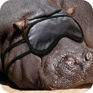 💤 emoji Hippo Telegram sticker 21 of 116