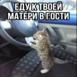 😾 emoji больше стикеров тут: @emoj1k Telegram sticker 22 of 90